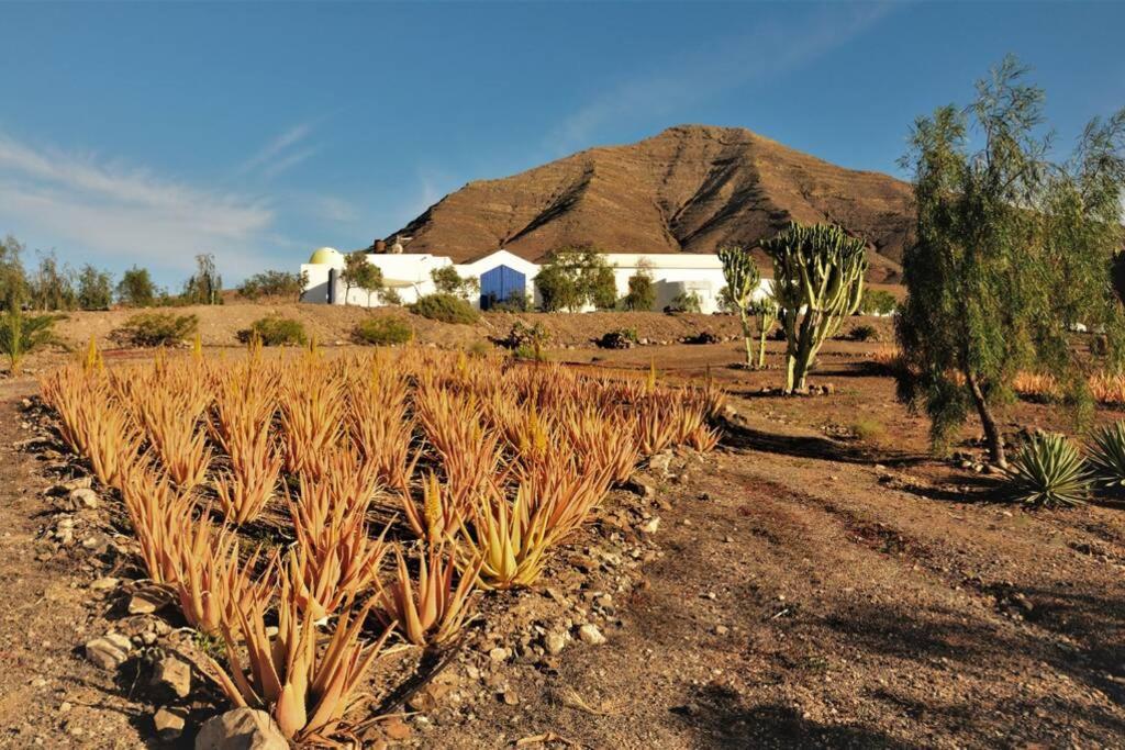 Tranquila Tierra - Eco Retreat Finca Artis Tirma タラハレホ エクステリア 写真